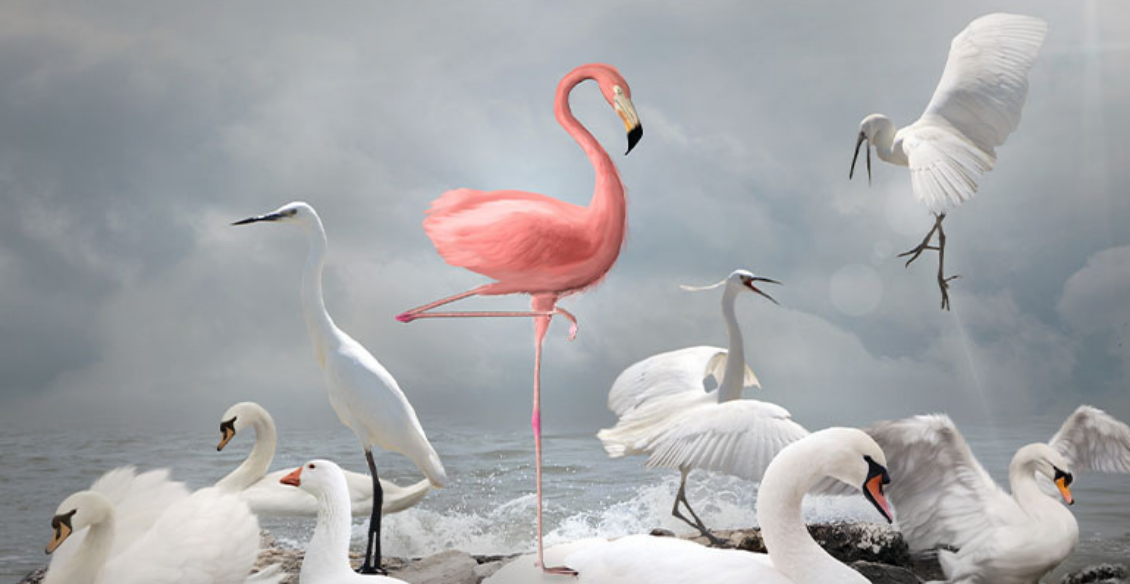 Less vain, more gain: 5 tips for personal branding success